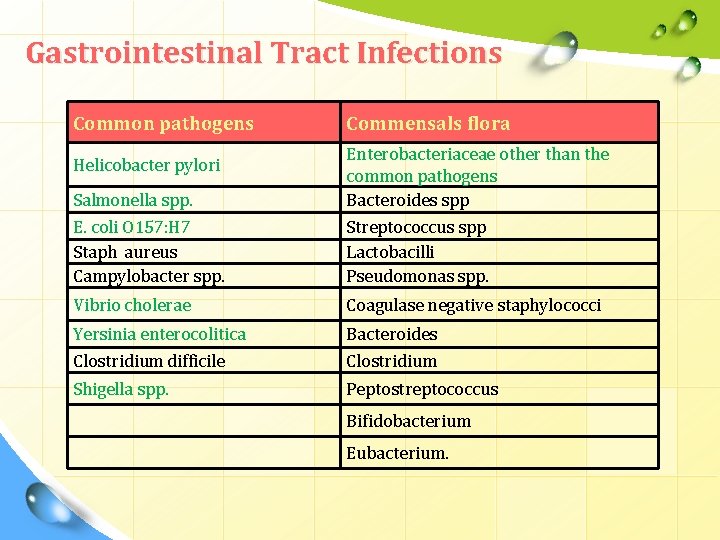 Gastrointestinal Tract Infections Common pathogens Commensals flora Salmonella spp. E. coli O 157: H