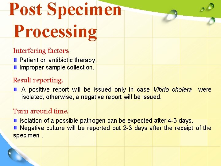 Post Specimen Processing Interfering factors: Patient on antibiotic therapy. Improper sample collection. Result reporting: