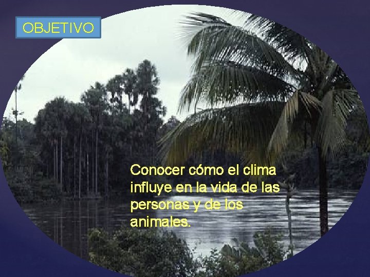 OBJETIVO Conocer cómo el clima influye en la vida de las personas y de