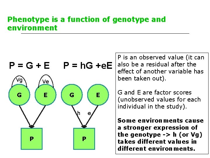 Phenotype is a function of genotype and environment P=G+E Vg Ve G E P