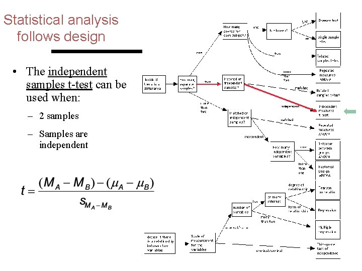 Statistical analysis follows design • The independent samples t-test can be used when: –