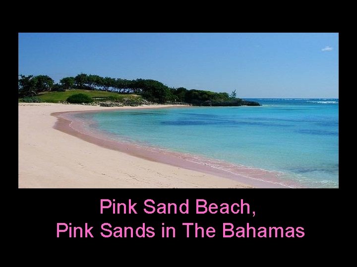 Pink Sand Beach, Pink Sands in The Bahamas 