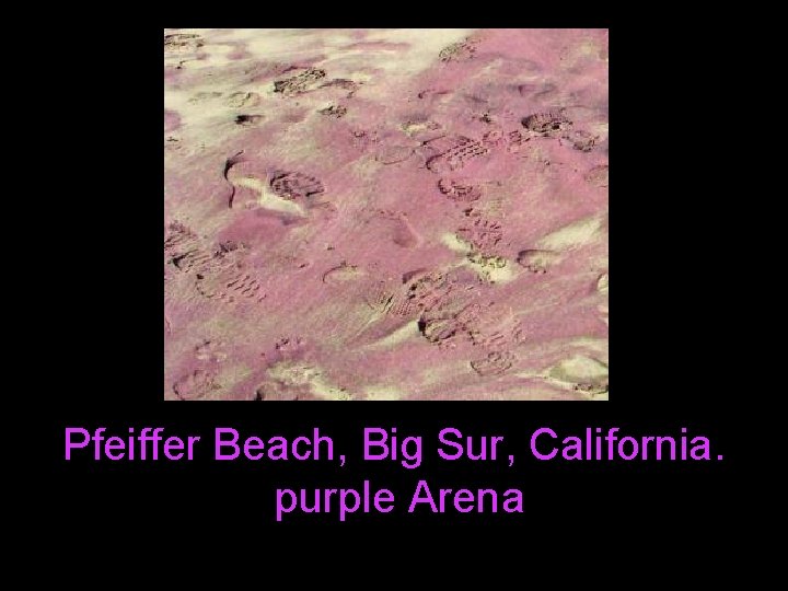Pfeiffer Beach, Big Sur, California. purple Arena 