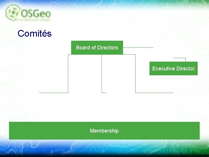 Comités Board of Directors Executive Director Membership 