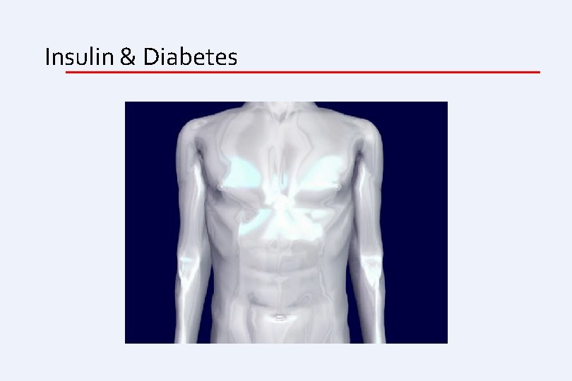 Insulin & Diabetes 