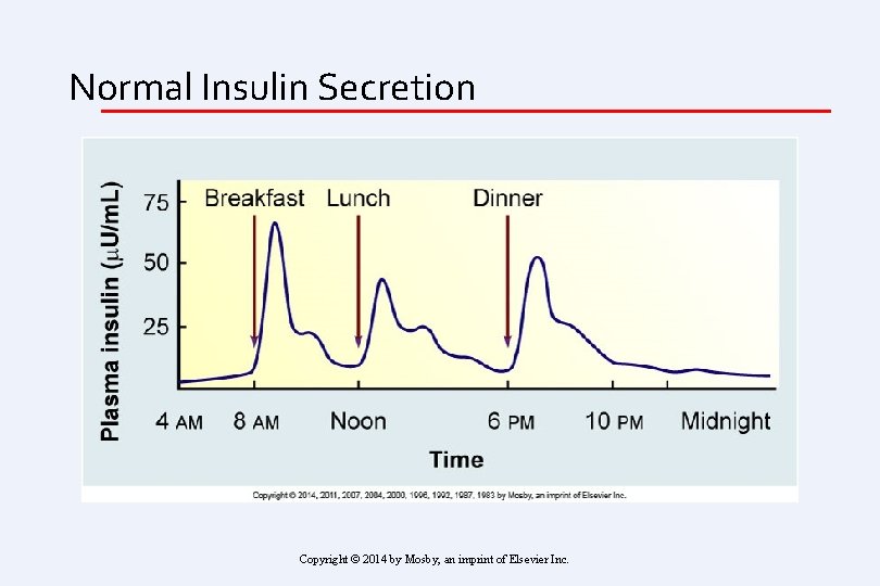 Normal Insulin Secretion Copyright © 2014 by Mosby, an imprint of Elsevier Inc. 