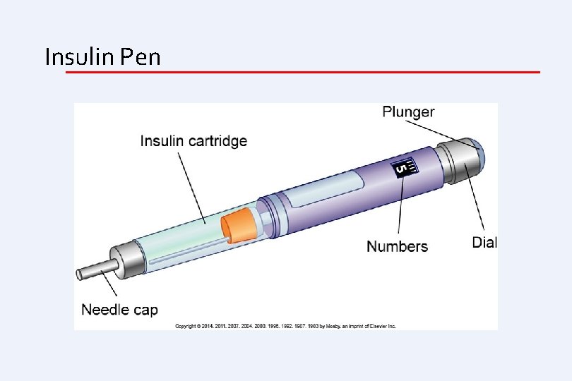 Insulin Pen 