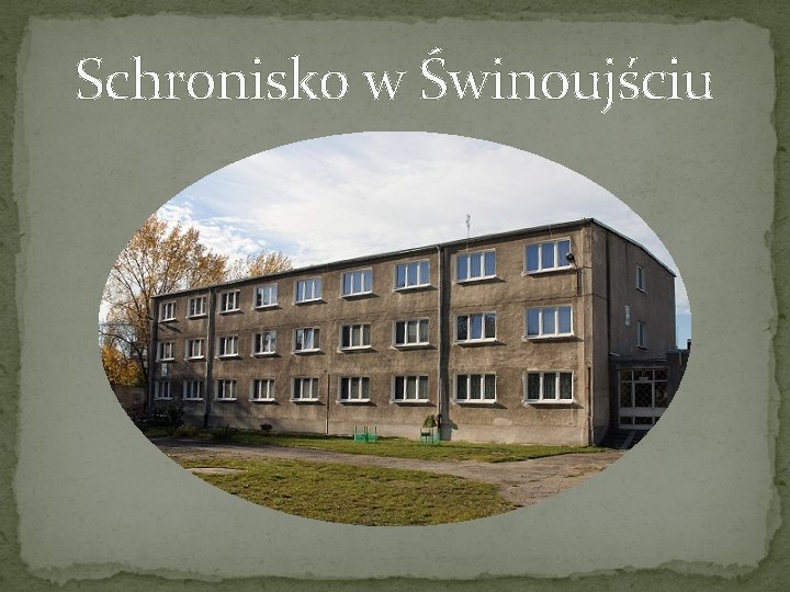 Schronisko w Świnoujściu 