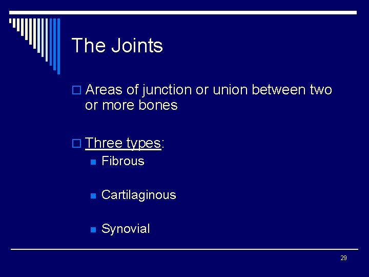 The Joints o Areas of junction or union between two or more bones o