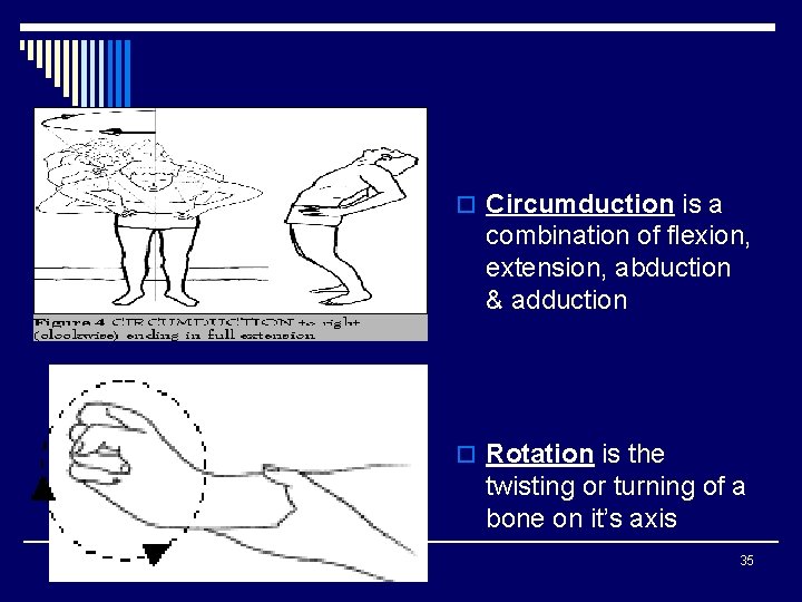 o Circumduction is a combination of flexion, extension, abduction & adduction o Rotation is