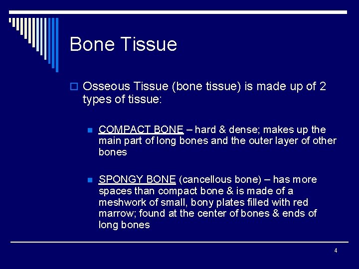 Bone Tissue o Osseous Tissue (bone tissue) is made up of 2 types of