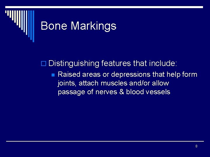 Bone Markings o Distinguishing features that include: n Raised areas or depressions that help