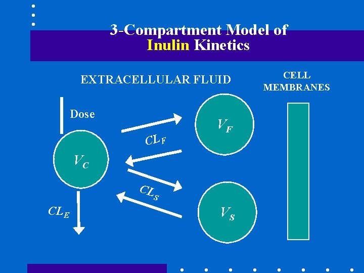 3 -Compartment Model of Inulin Kinetics EXTRACELLULAR FLUID Dose CL F VF VC CL