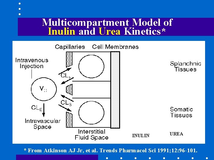 Multicompartment Model of Inulin and Urea Kinetics* INULIN UREA * From Atkinson AJ Jr,