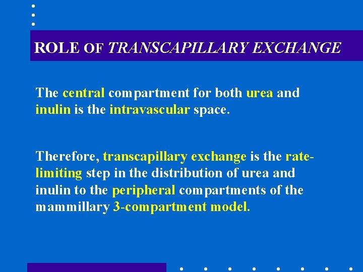 ROLE OF TRANSCAPILLARY EXCHANGE The central compartment for both urea and inulin is the