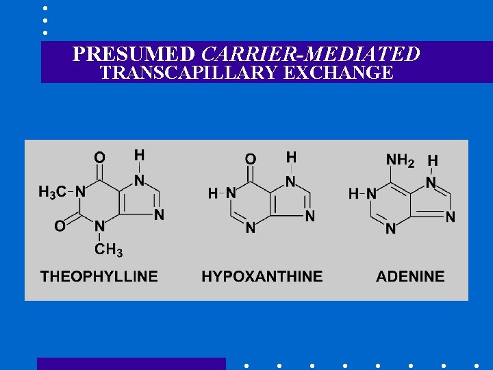 PRESUMED CARRIER-MEDIATED TRANSCAPILLARY EXCHANGE 