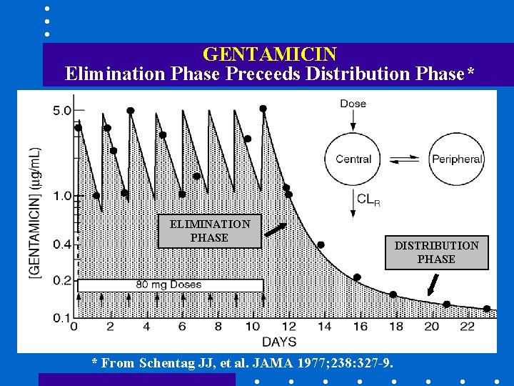 GENTAMICIN Elimination Phase Preceeds Distribution Phase* ELIMINATION PHASE * From Schentag JJ, et al.