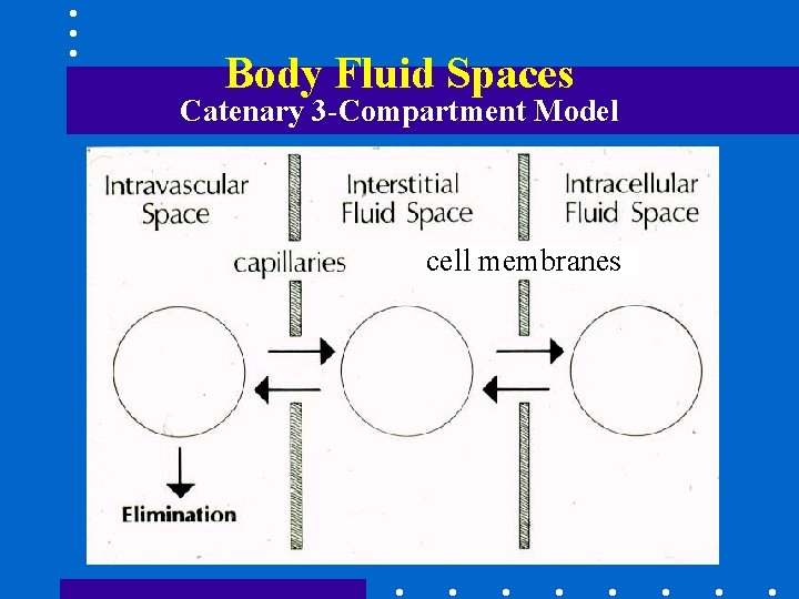 Body Fluid Spaces Catenary 3 -Compartment Model cell membranes 