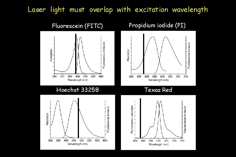 Laser light must overlap with excitation wavelength Fluorescein (FITC) Propidium iodide (PI) Hoechst 33258