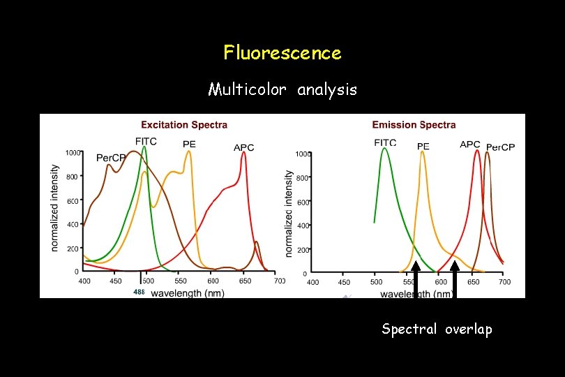 Fluorescence Multicolor analysis Spectral overlap 