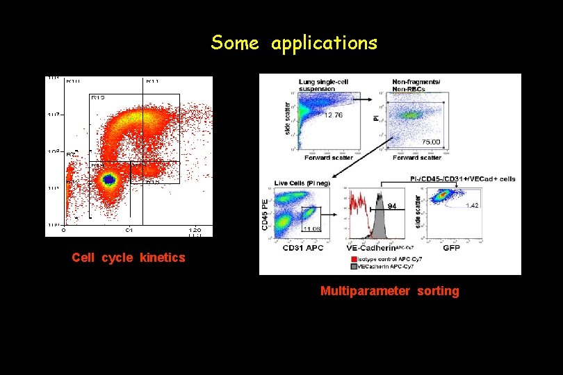 Some applications Cell cycle kinetics Multiparameter sorting 