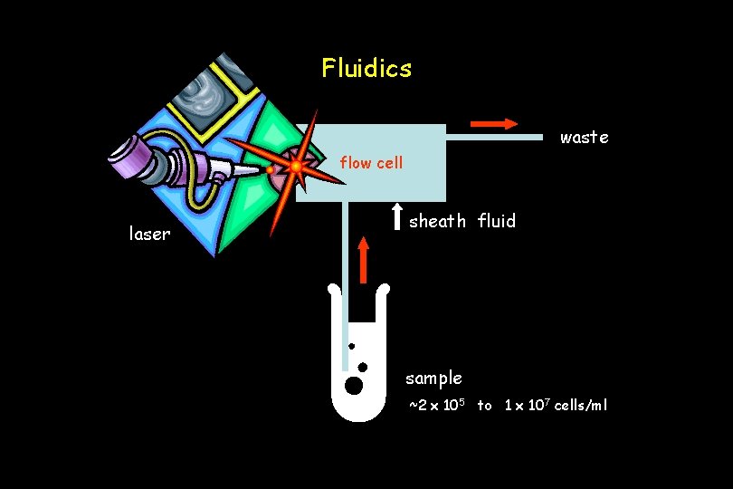 Fluidics waste flow cell laser sheath fluid sample ~2 x 105 to 1 x