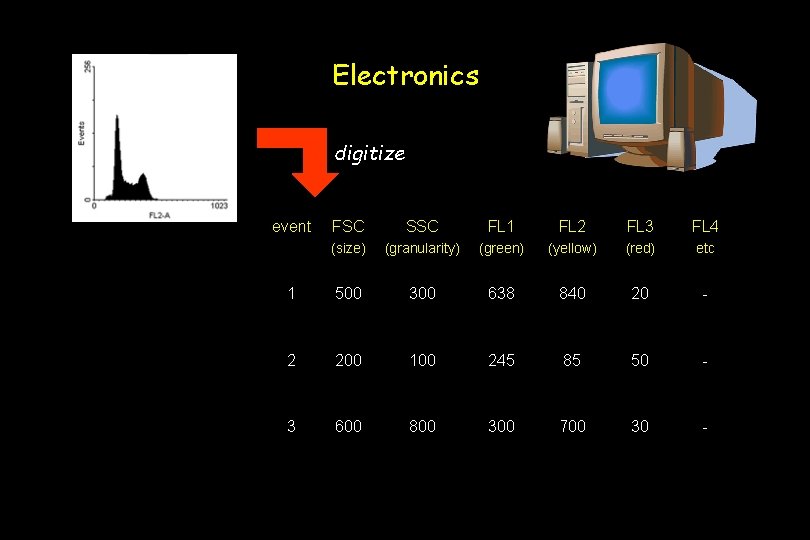 Electronics digitize event FSC SSC FL 1 FL 2 FL 3 FL 4 (size)