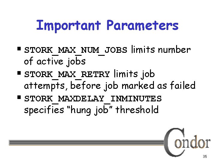 Important Parameters § STORK_MAX_NUM_JOBS limits number of active jobs § STORK_MAX_RETRY limits job attempts,