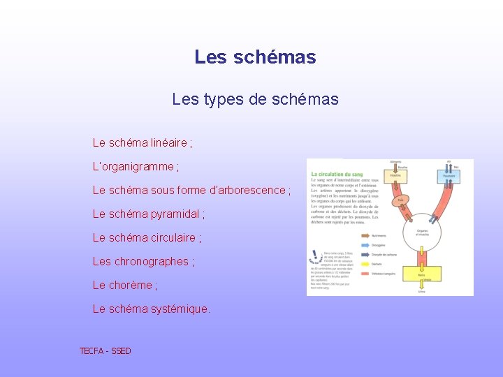 Les schémas Les types de schémas Le schéma linéaire ; L’organigramme ; Le schéma