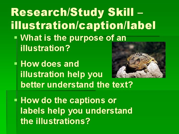 Research/Study Skill – illustration/caption/label § What is the purpose of an illustration? § How