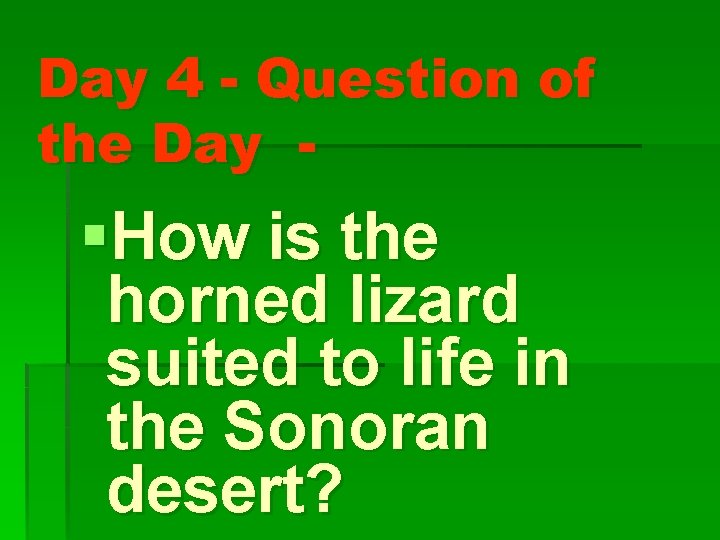 Day 4 - Question of the Day - §How is the horned lizard suited