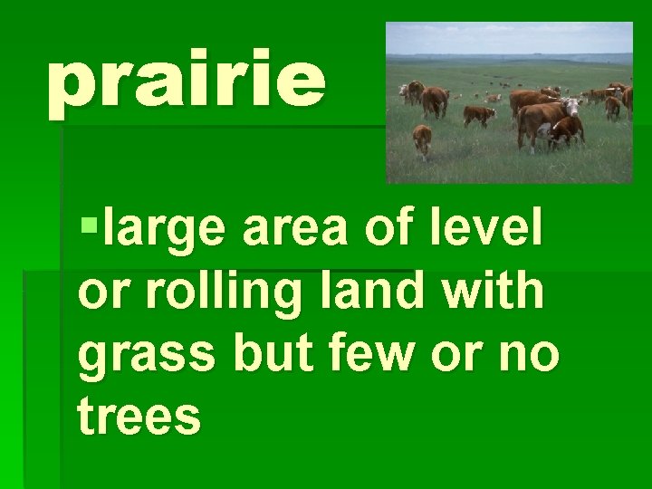 prairie §large area of level or rolling land with grass but few or no