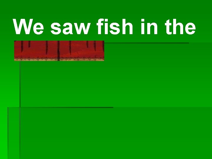 We saw fish in the riverbed. 