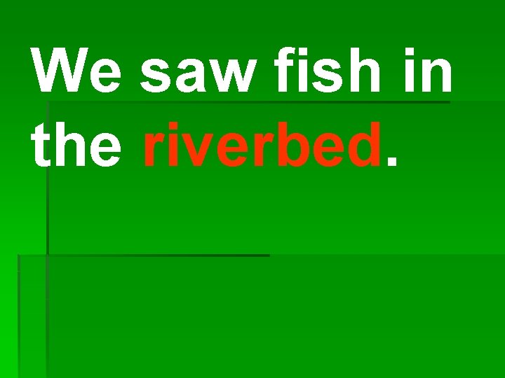 We saw fish in the riverbed. 