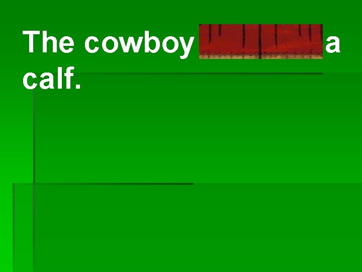 The cowboy lassoed a calf. 