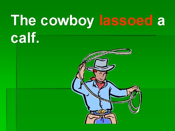 The cowboy lassoed a calf. 