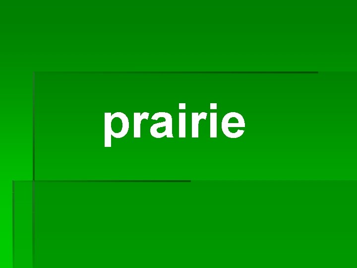 prairie 
