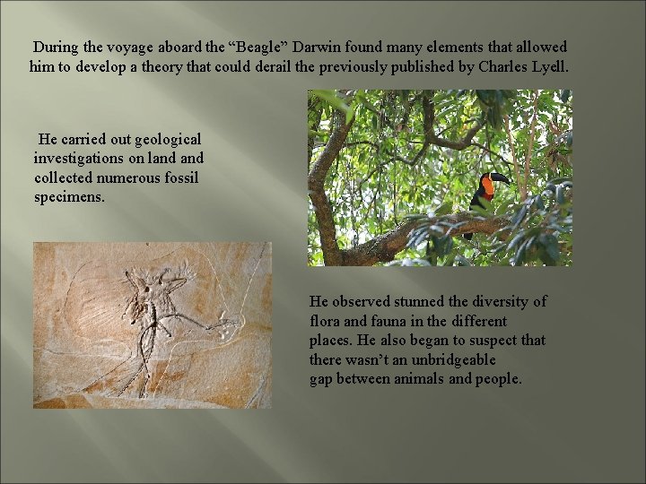 During the voyage aboard the “Beagle” Darwin found many elements that allowed him to