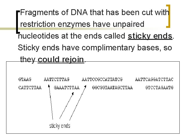 Fragments of DNA that has been cut with restriction enzymes have unpaired nucleotides at
