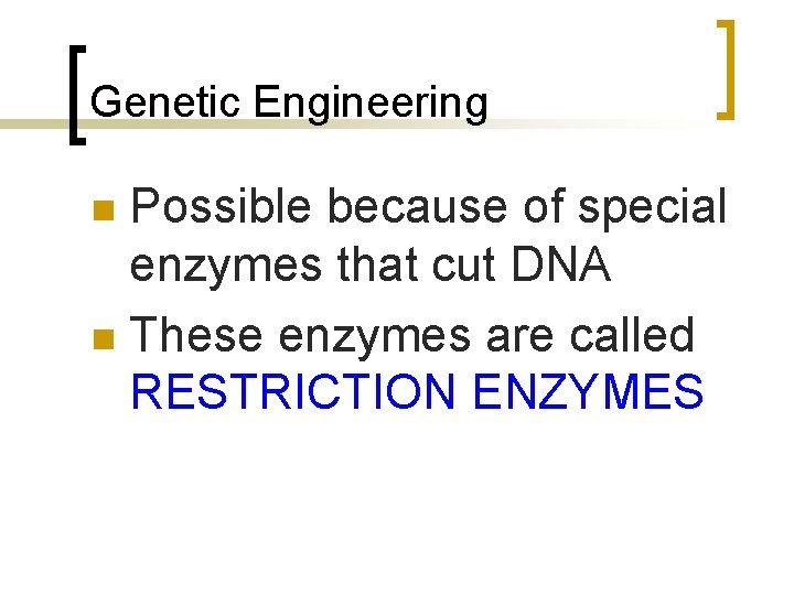 Genetic Engineering Possible because of special enzymes that cut DNA n These enzymes are