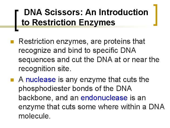 DNA Scissors: An Introduction to Restriction Enzymes n n Restriction enzymes, are proteins that