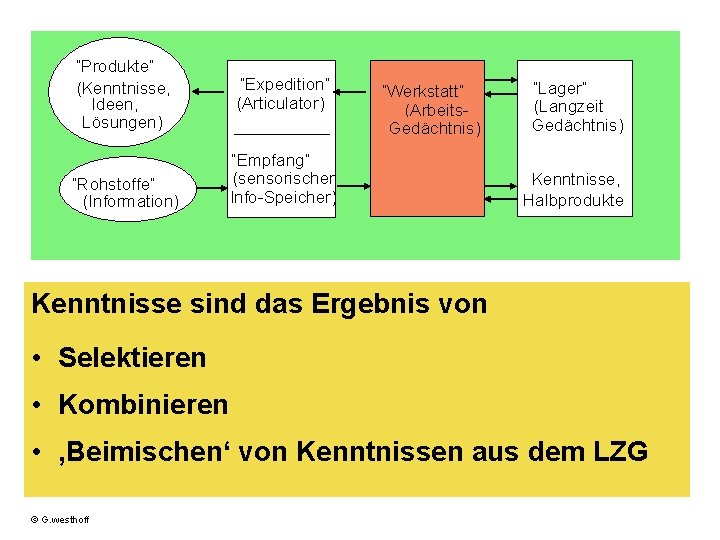 “Produkte” (Kenntnisse, Ideen, Lösungen) “Rohstoffe” (Information) “Expedition” (Articulator) “Werkstatt” (Arbeits. Gedächtnis) “Empfang” (sensorischer Info-Speicher)