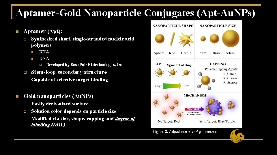 Mosquito Surveillance Tools Based On AptamerGold Nanoparticle Conjugates mosquito-surveillance-tools-based-on-aptamergold-nanoparticle-conjugates