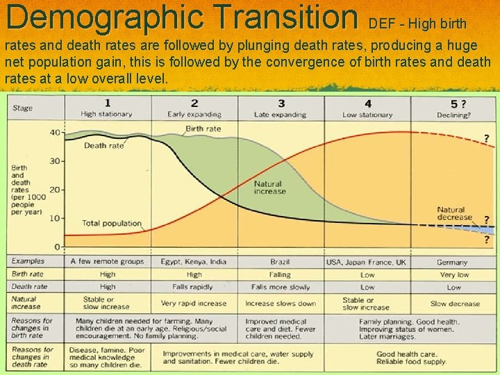 Demographic Transition DEF - High birth rates and death rates are followed by plunging