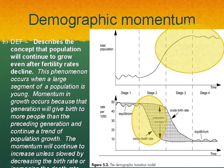 Demographic momentum DEF – Describes the concept that population will continue to grow even