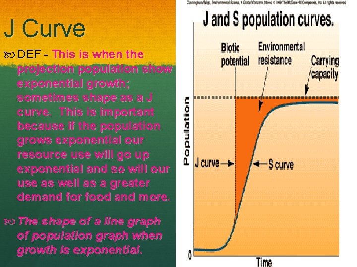 J Curve DEF - This is when the projection population show exponential growth; sometimes