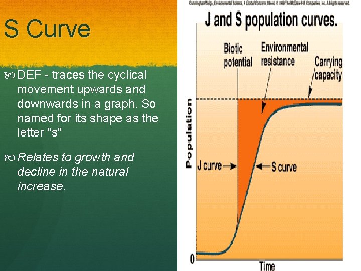 S Curve DEF - traces the cyclical movement upwards and downwards in a graph.