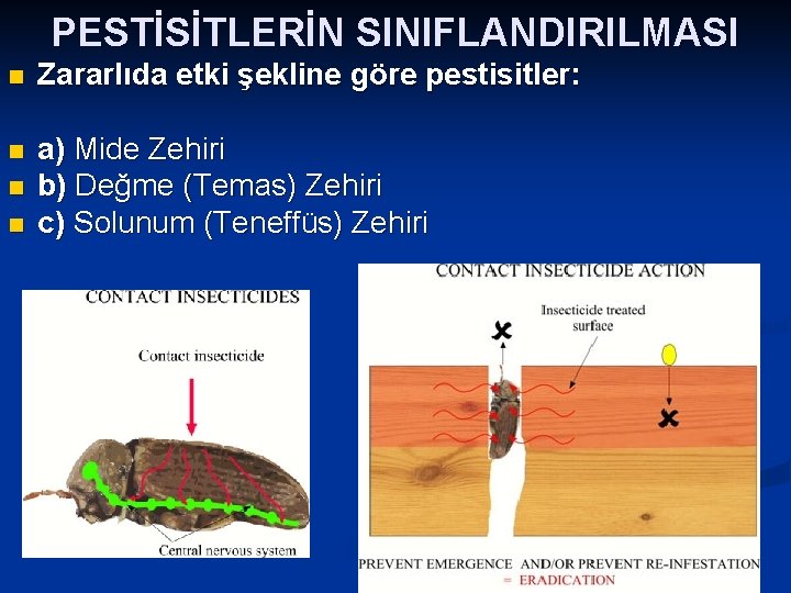 PESTİSİTLERİN SINIFLANDIRILMASI n Zararlıda etki şekline göre pestisitler: n a) Mide Zehiri b) Değme