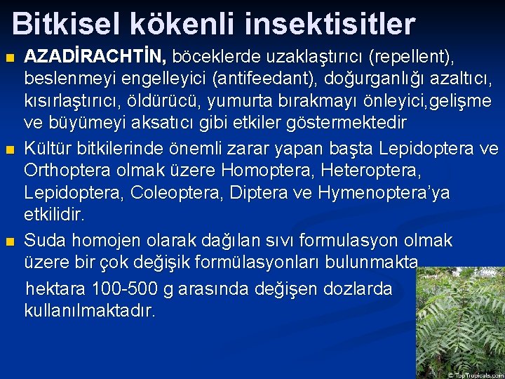 Bitkisel kökenli insektisitler n n n AZADİRACHTİN, böceklerde uzaklaştırıcı (repellent), beslenmeyi engelleyici (antifeedant), doğurganlığı