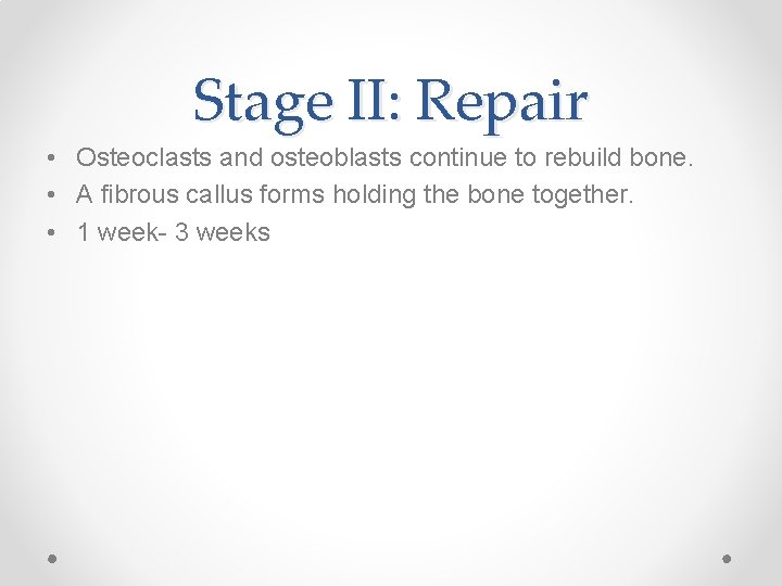 Stage II: Repair • Osteoclasts and osteoblasts continue to rebuild bone. • A fibrous